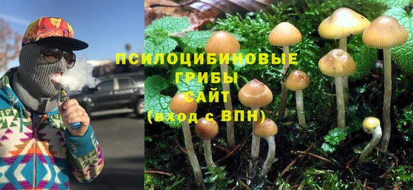 COCAINE Краснотурьинск