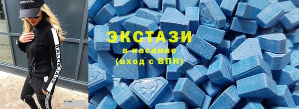 индика Кулебаки
