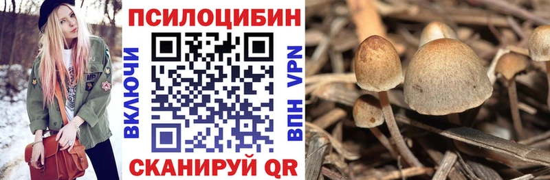 Купить закладки  Джанкой  Псилоцибиновые грибы ЛСД 